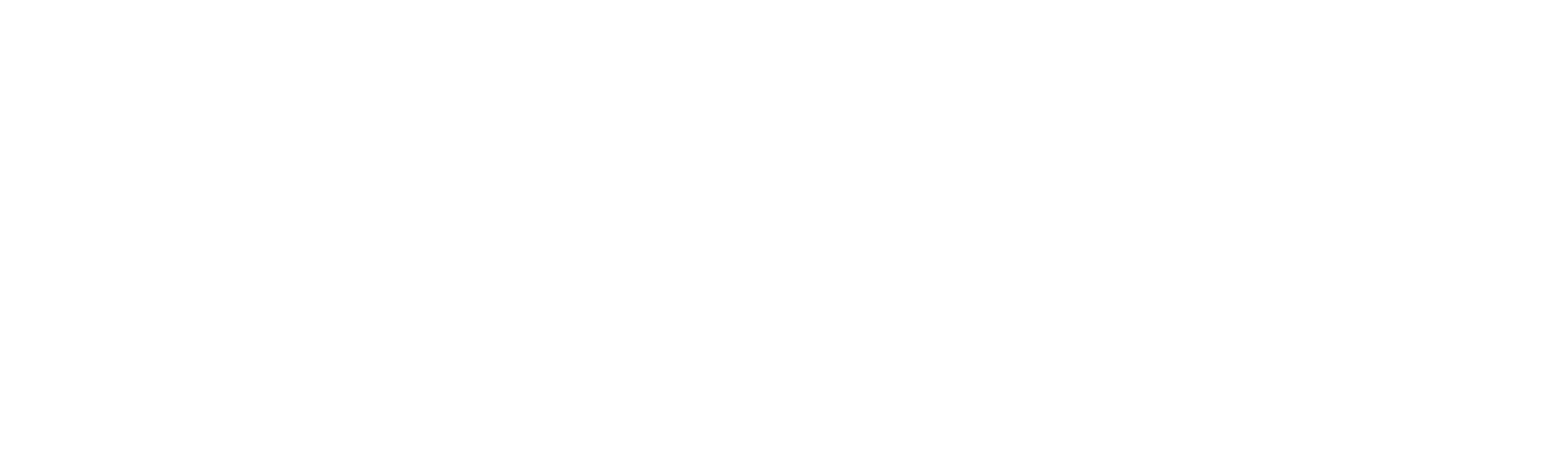 METROSOFT_LOGO_HORISONTAAL_NEGATIIV_RGB